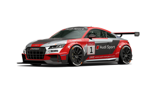 TT CUP